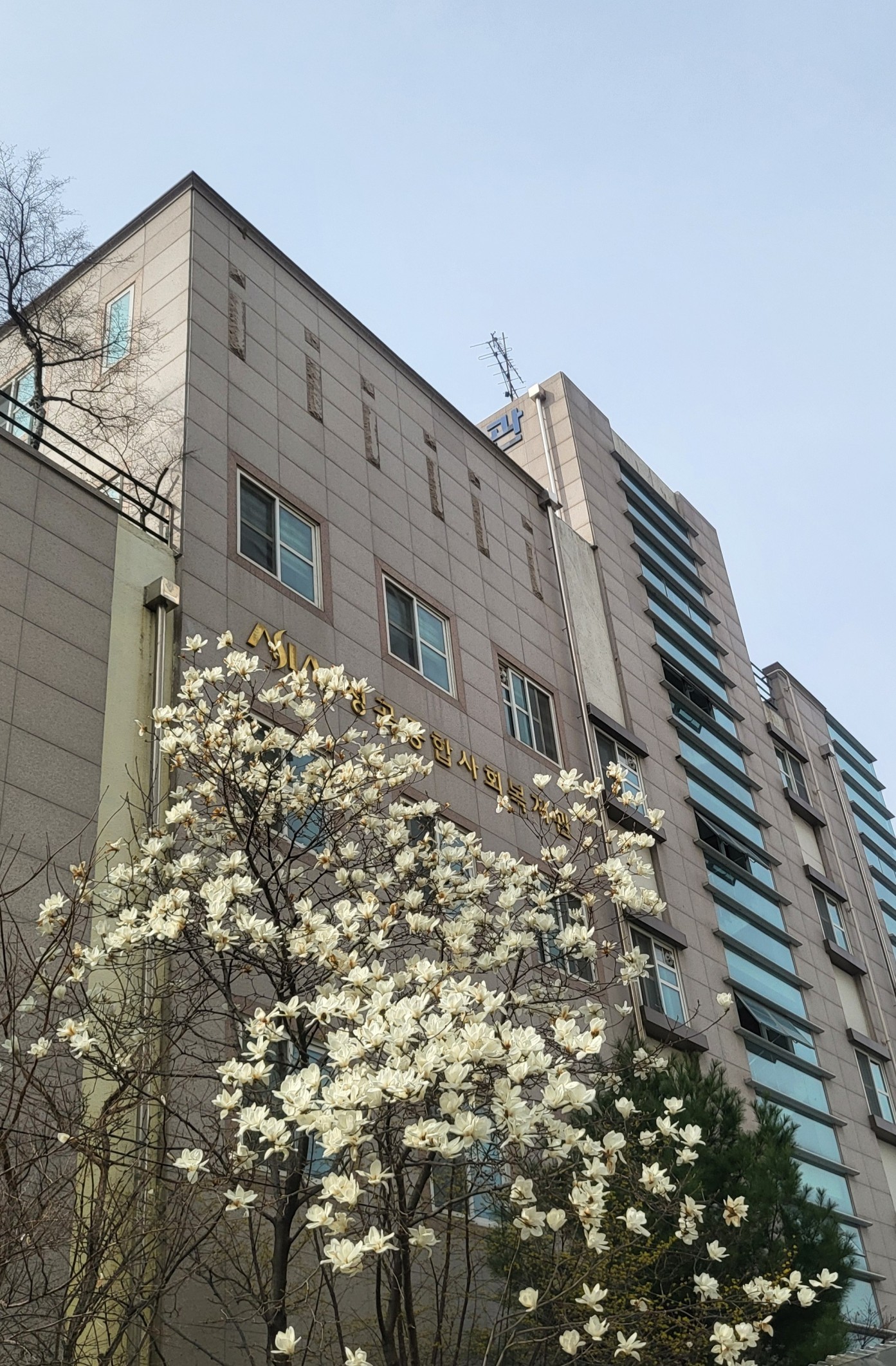 KakaoTalk_20240328_213404129_01.jpg